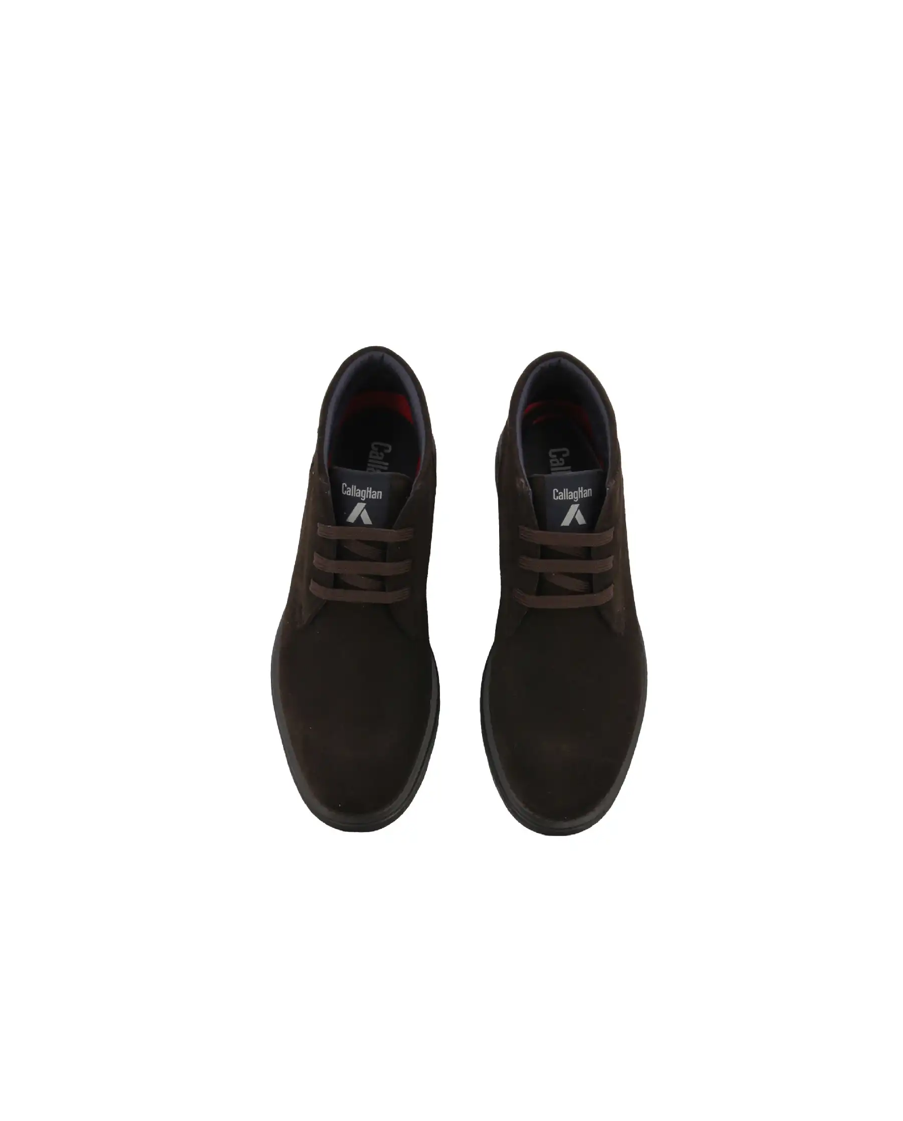 CALLAGHAN POLACCHINI TESTA DI MORO