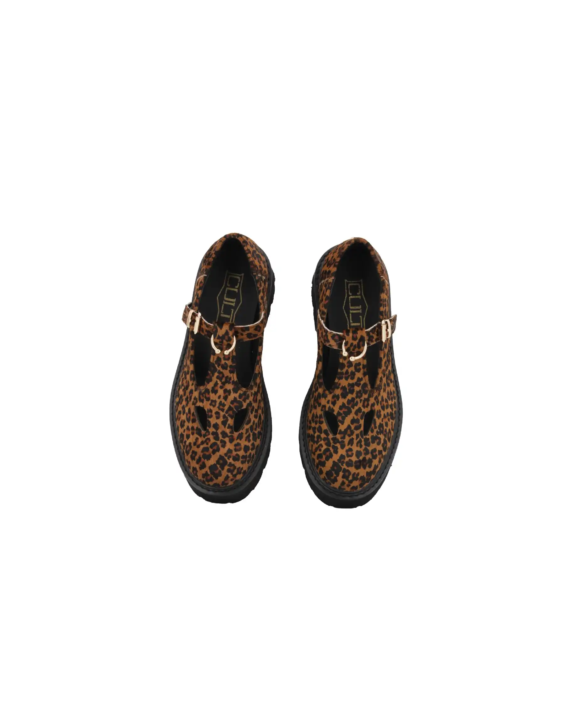 CULT OCCHIO DI BUE SLASH MACULATO