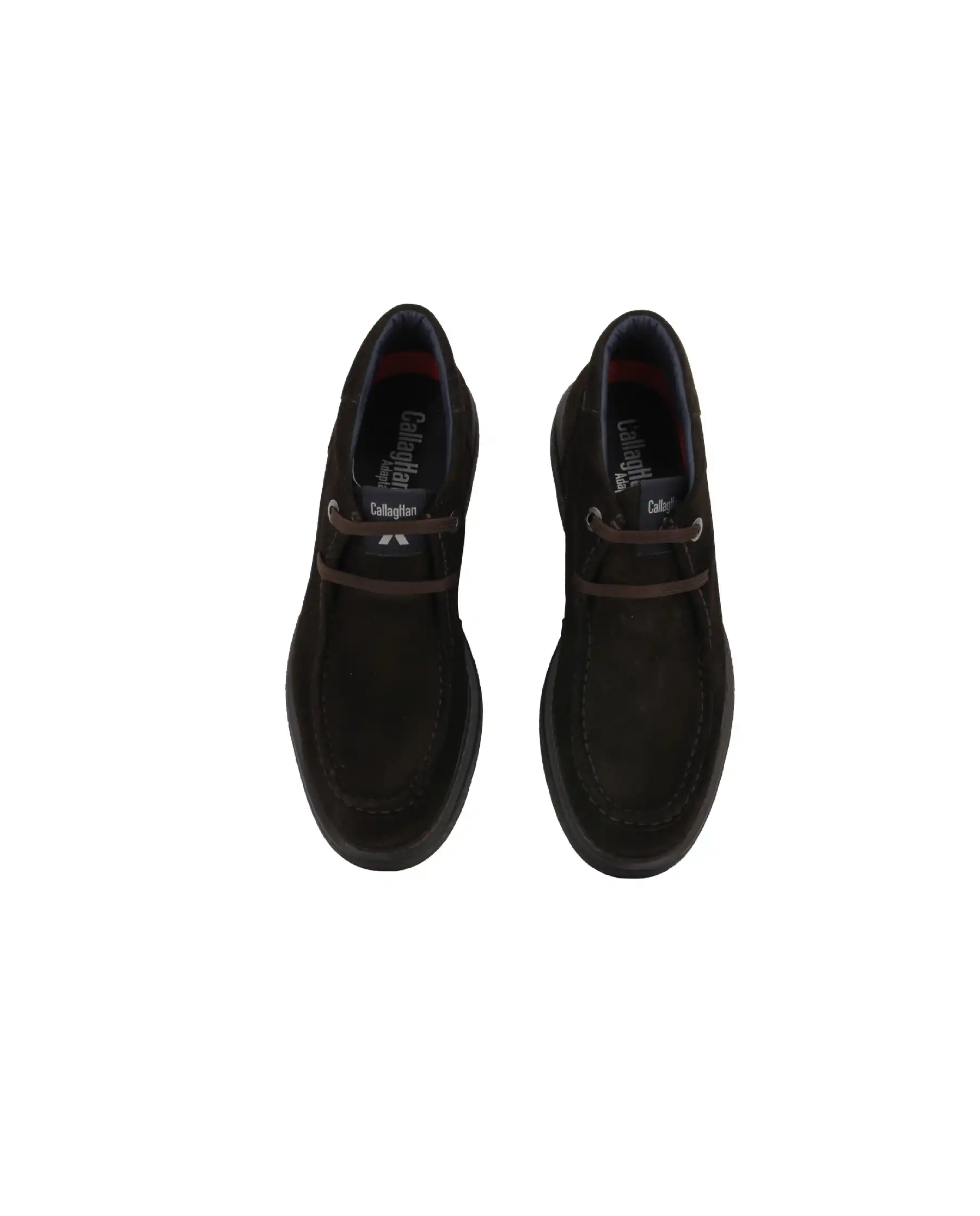 CALLAGHAN POLACCHI INGEGNERE TESTA DI MORO