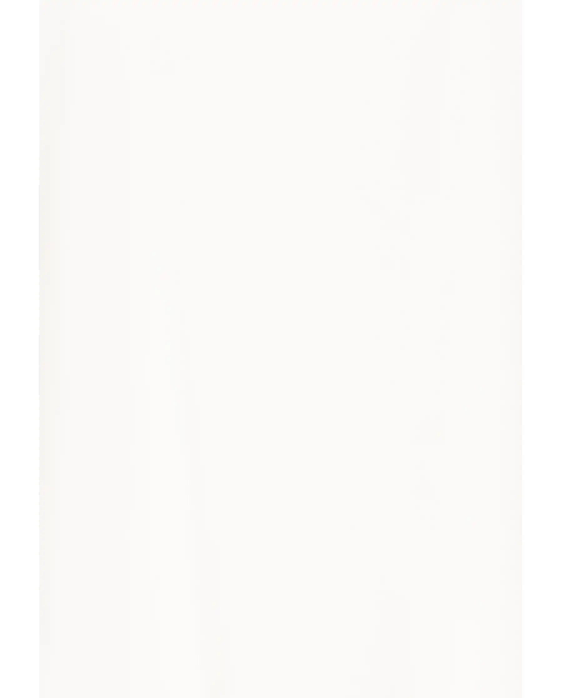 ICHI T-SHIRT MONORA PANNA