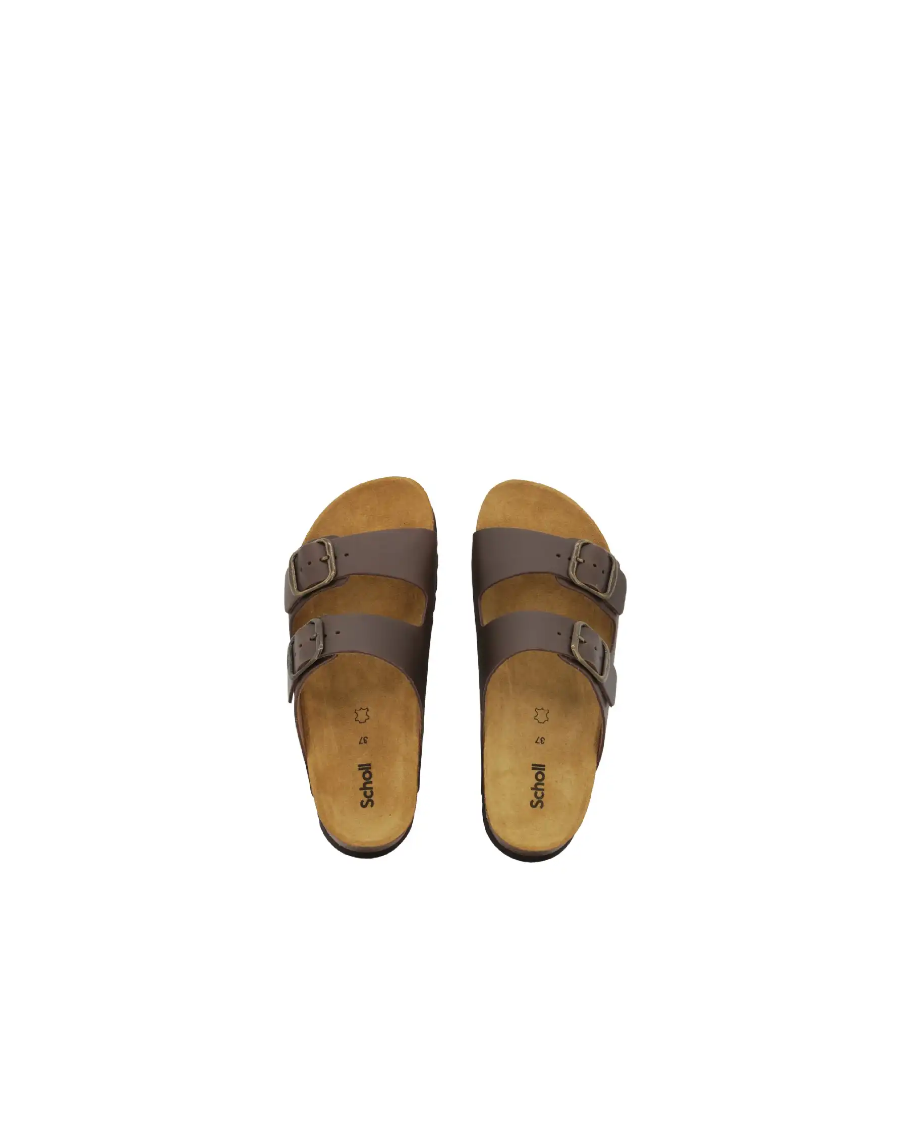 SCHOLL SCHOLL CIABATTINE MARRONE MARRONE